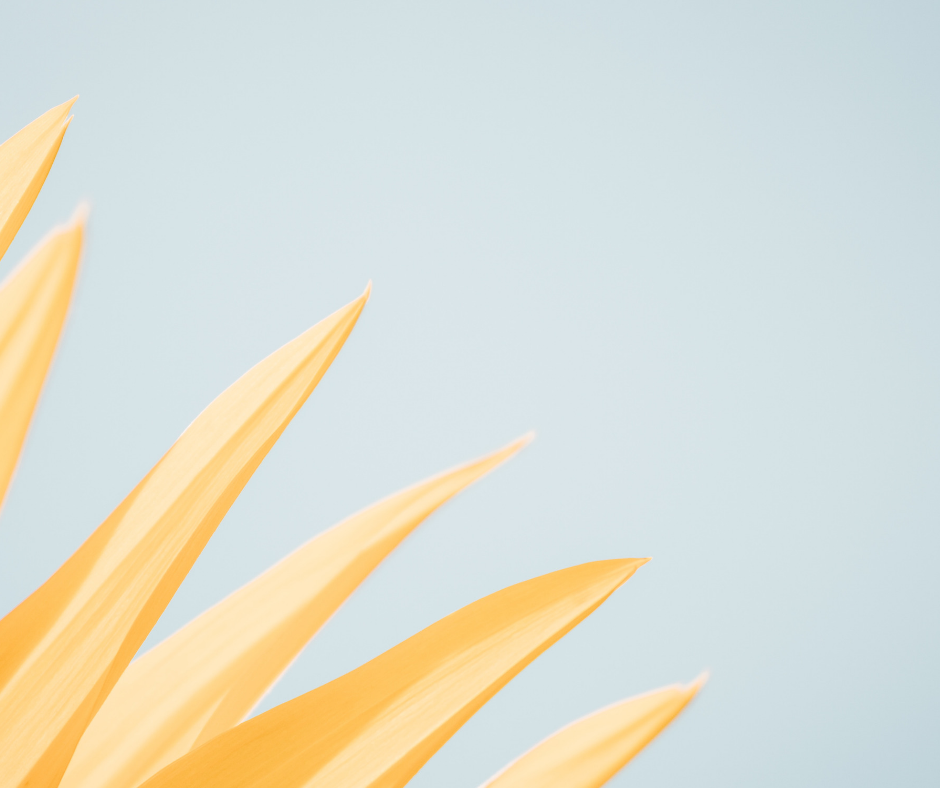 Running on Empty? The magic of Magnesium