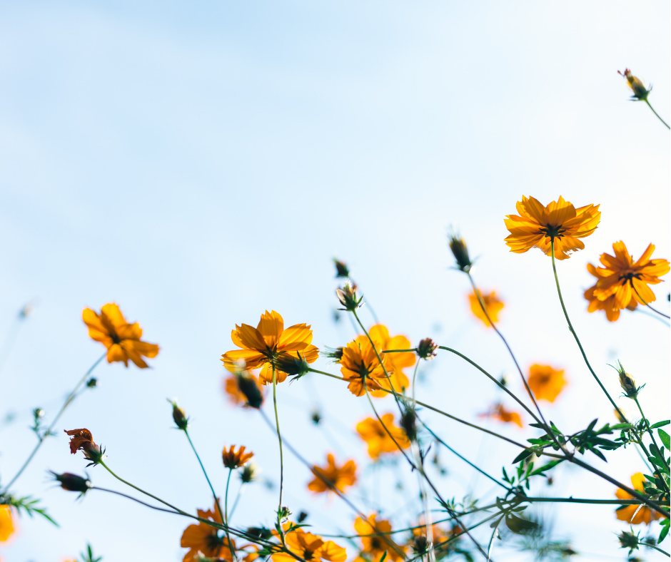 The 5 changes you need for great Spring Skin