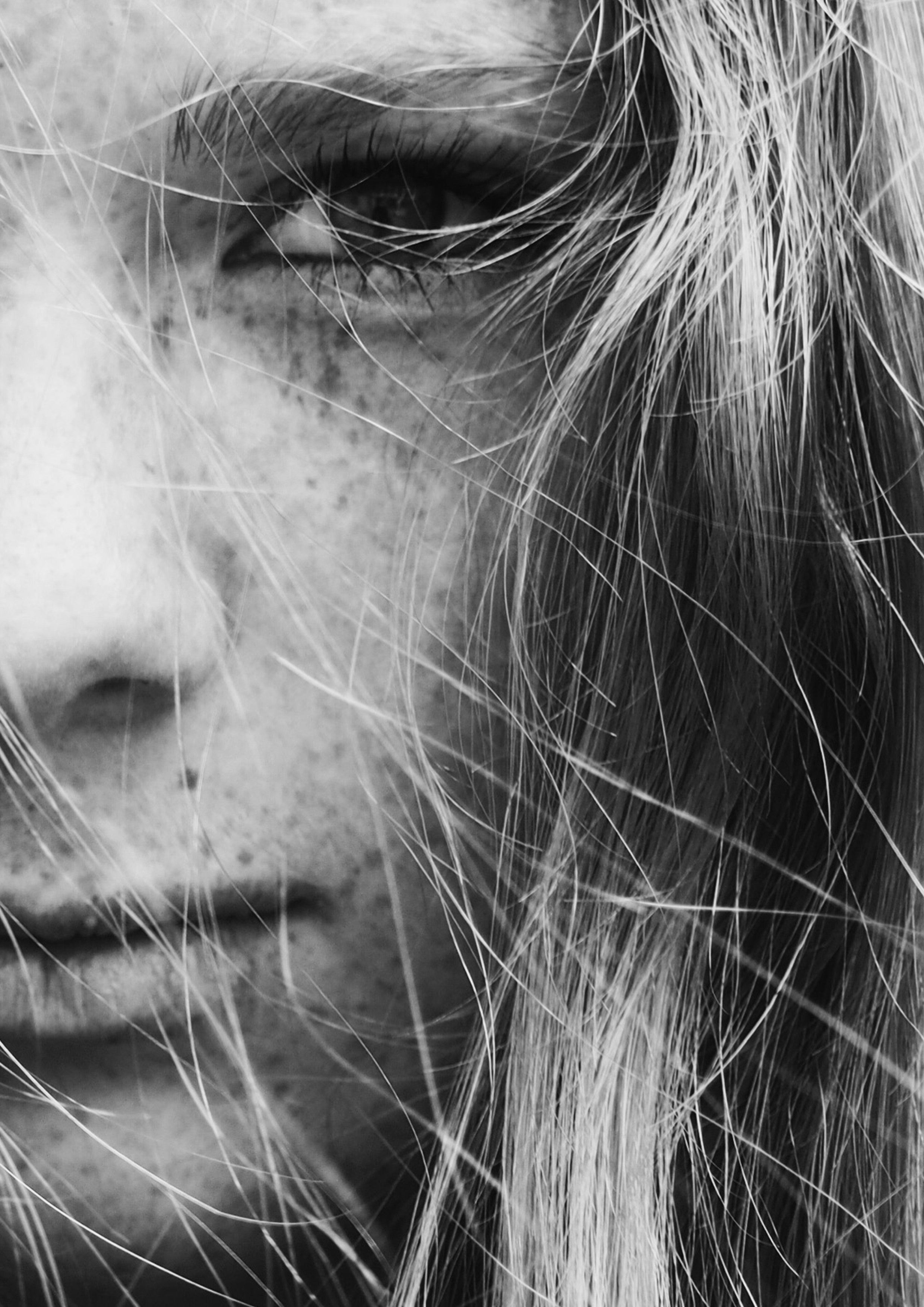 YOUR GUIDE TO FACE OILS