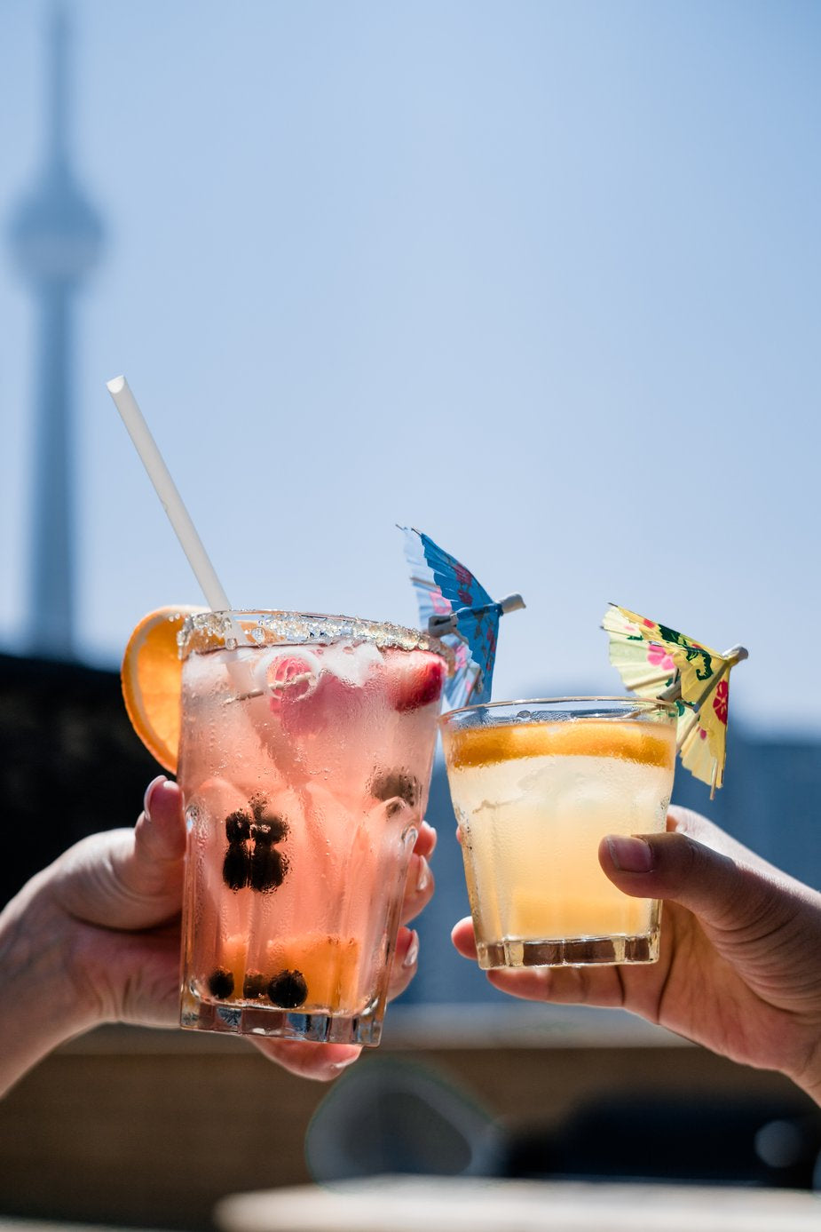 Hung over? Here's your guide to survival.